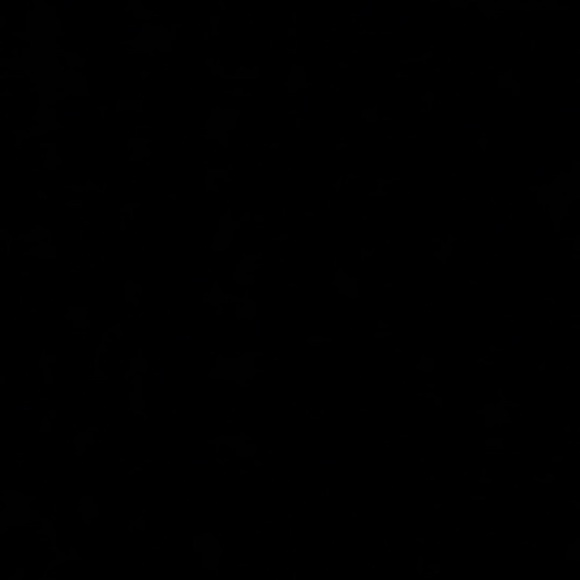 Meet your Posher, Lola - Picture 1 of 1